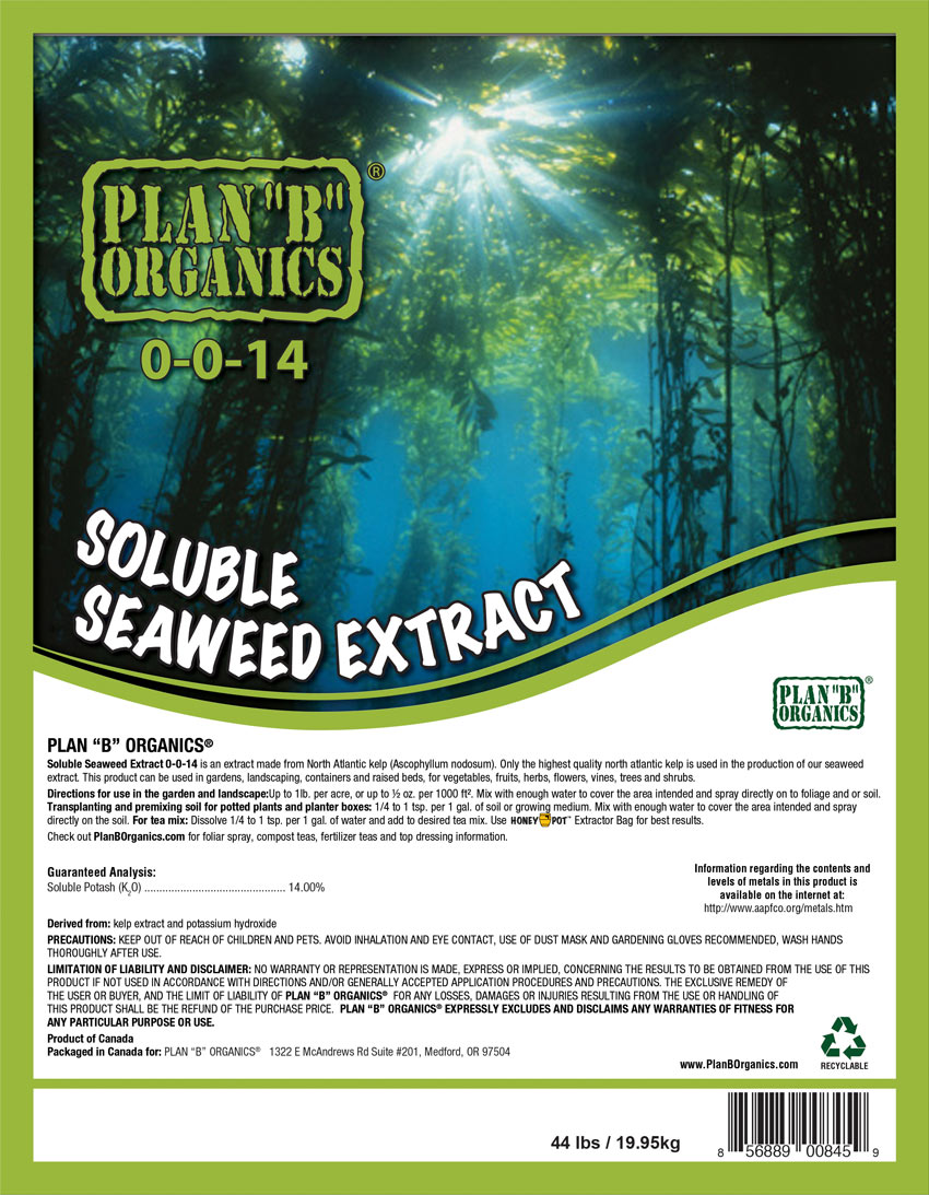 soluble seaweed extract